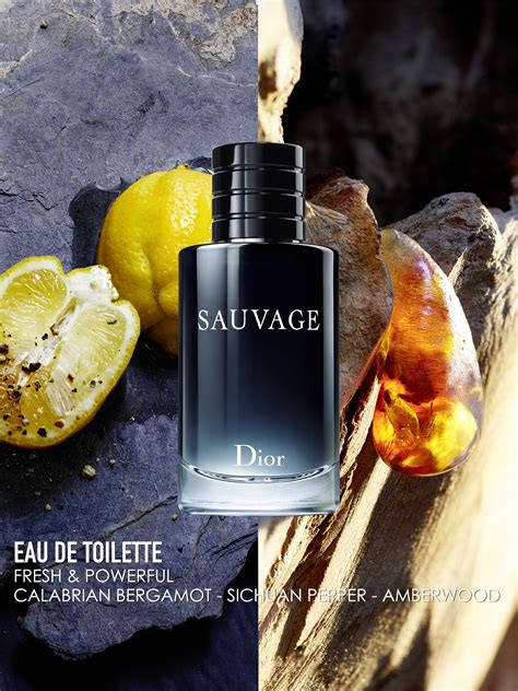 ingredients in dior sauvage|sauvage Dior cologne ingredients.